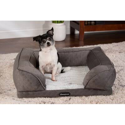 Supreme Comfort Couch Dog & Cat Bed