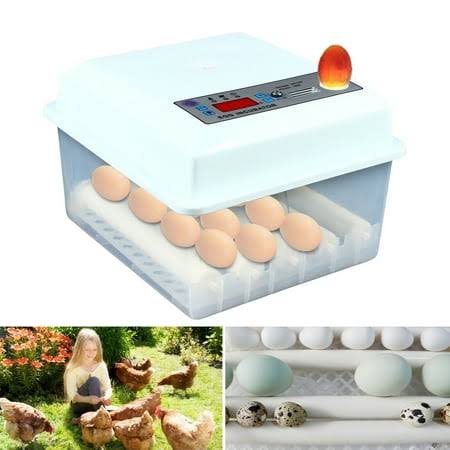 16 Eggs Automatic Incubator With Sink