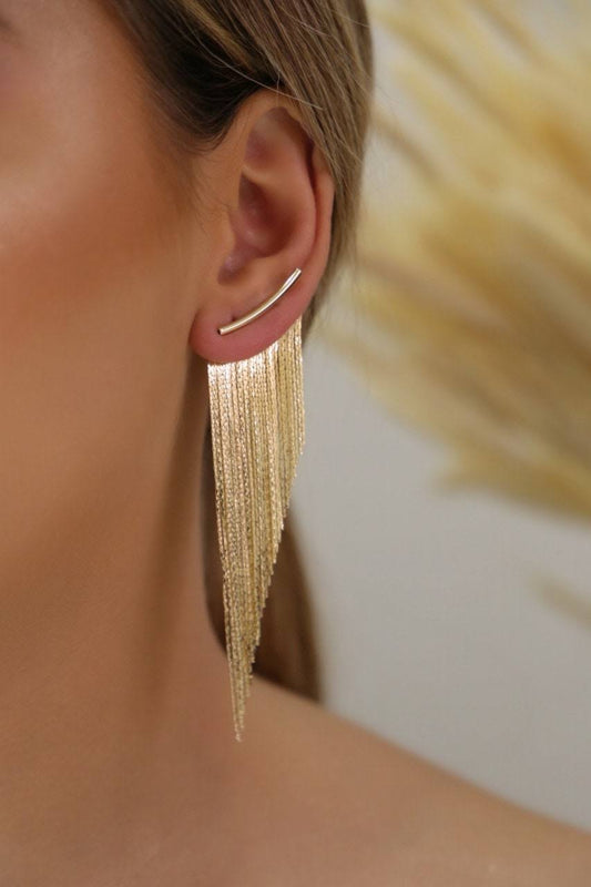 Tassel Fringe Earrings