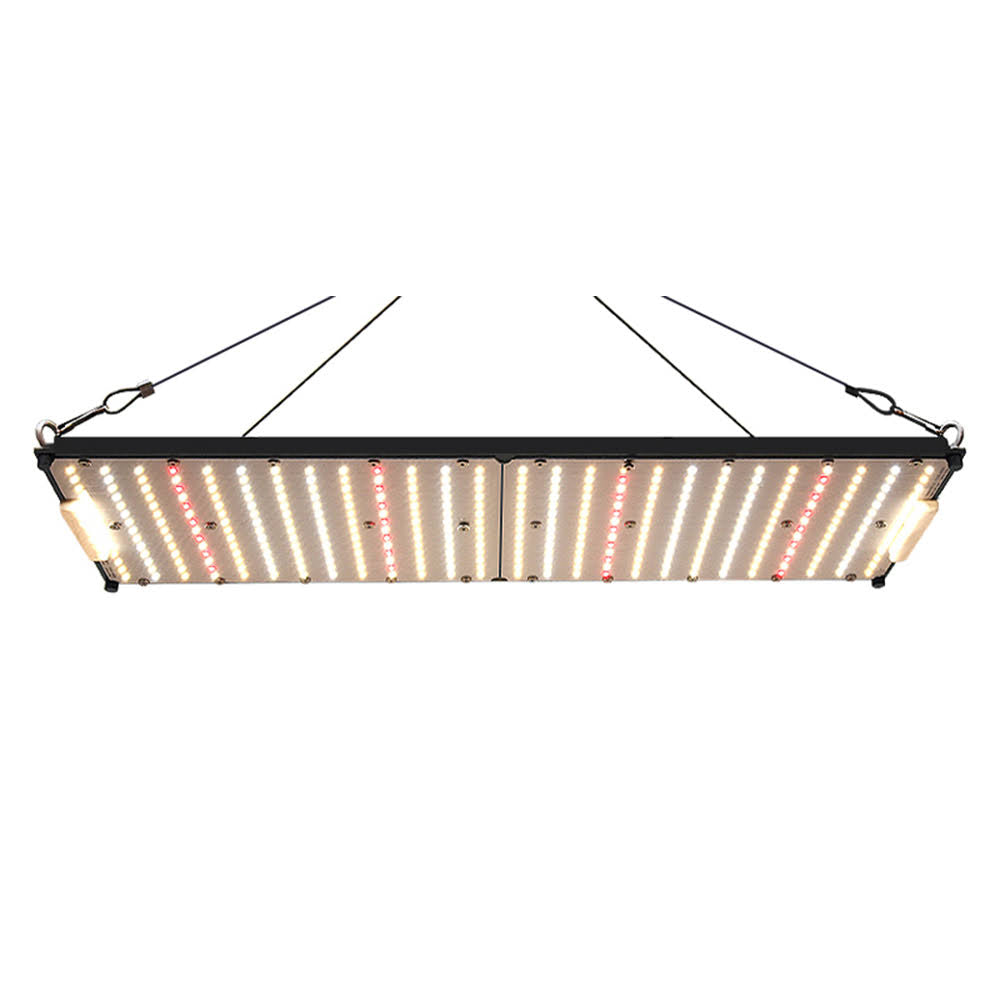 200w Full Spectrum Led Grow Light For Medical Plants Chieko-2000