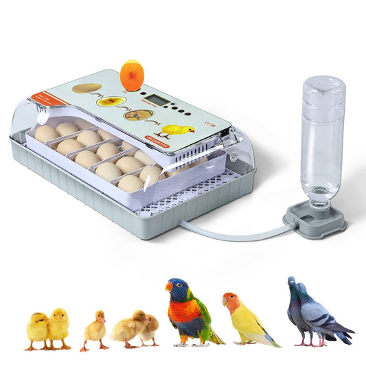 20 Egg Incubator With Automatic Egg Turning And Humidity Control