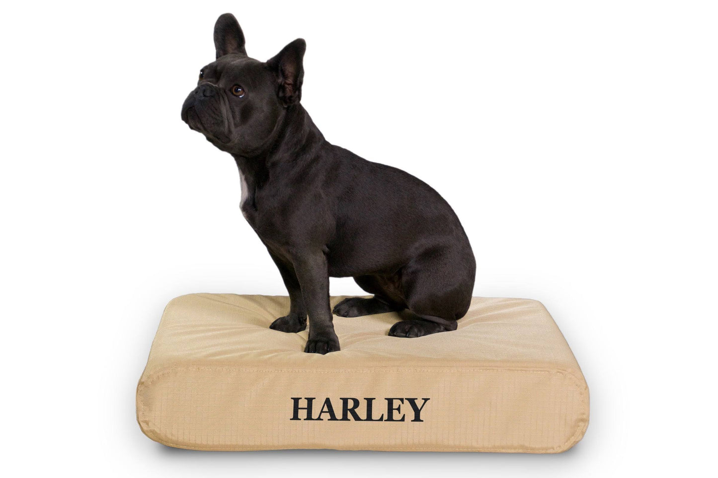 Tough Rip-Stop Rectangle Orthopedic Dog Bed