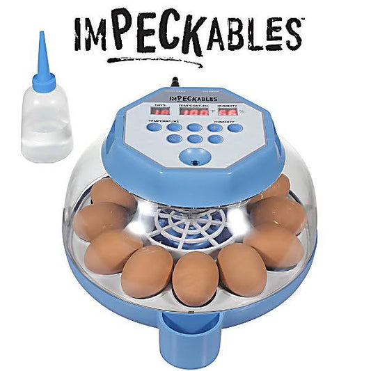 12-Capacity Egg Incubator